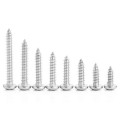 A2-70 pan phil self tapping screw ss 304